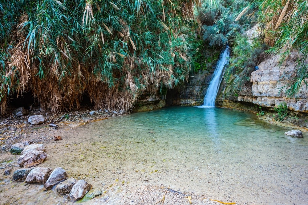 Wasserfall in Ein Gedi