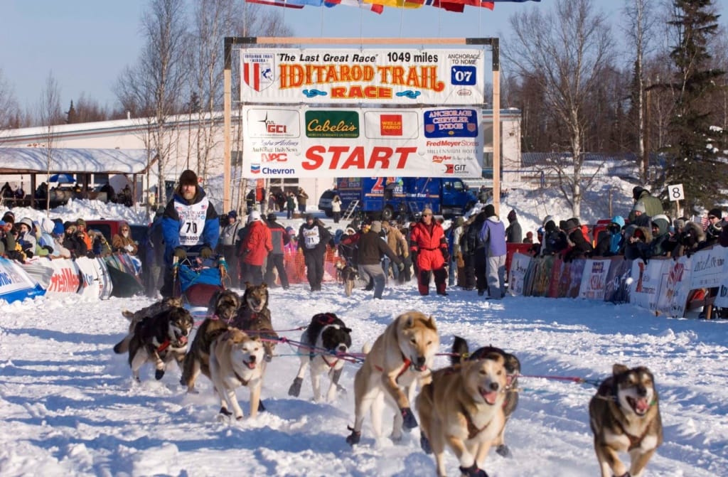 Hundeschlittenrennen in Alaska