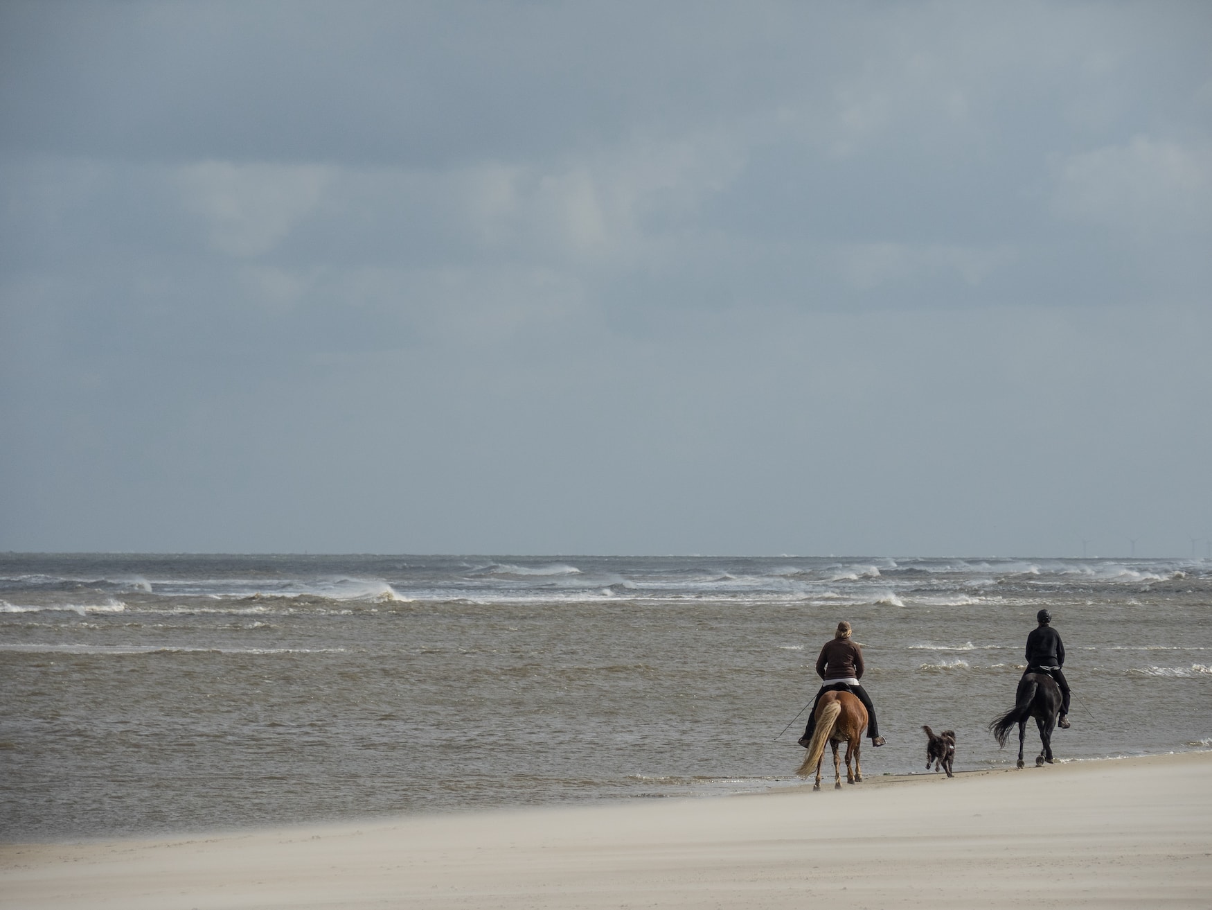 Pferdeausritt am Strand von Spiekeroog