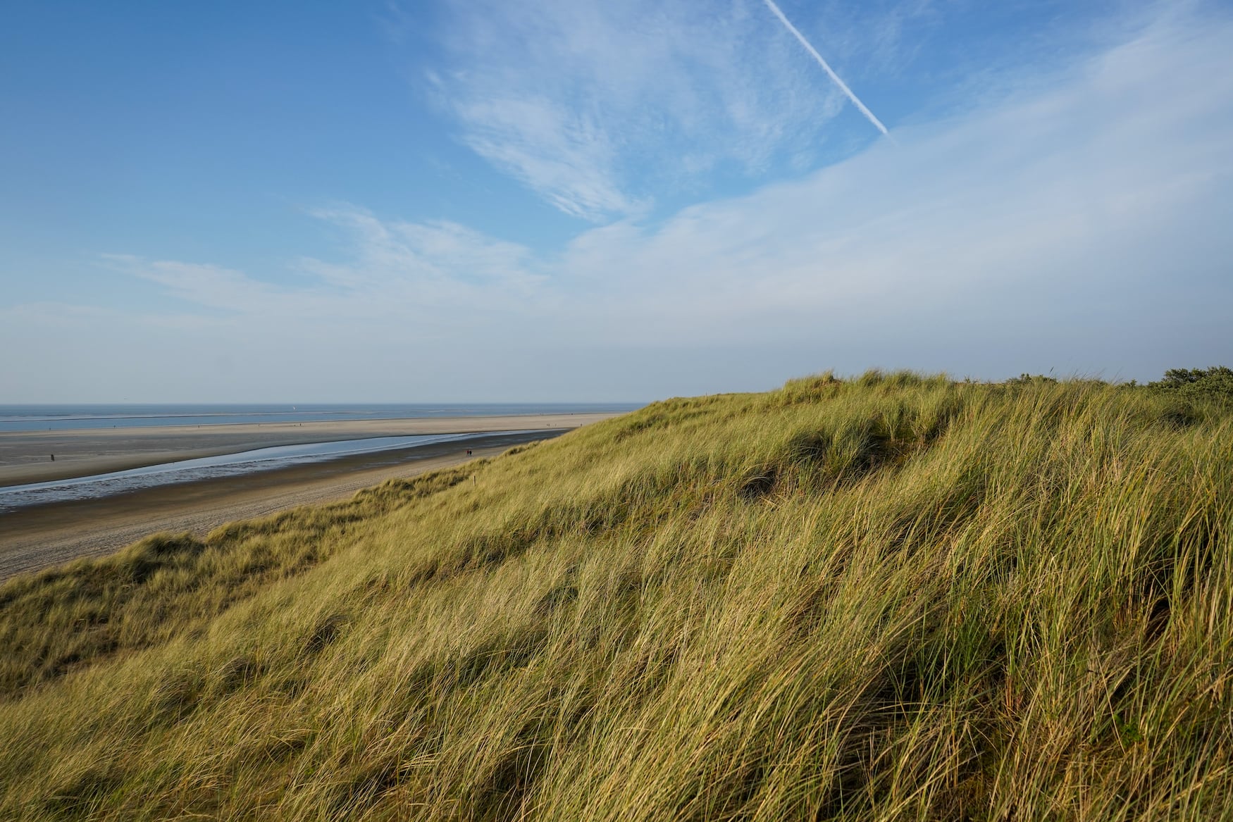 Dünen und Strand der Nordsee