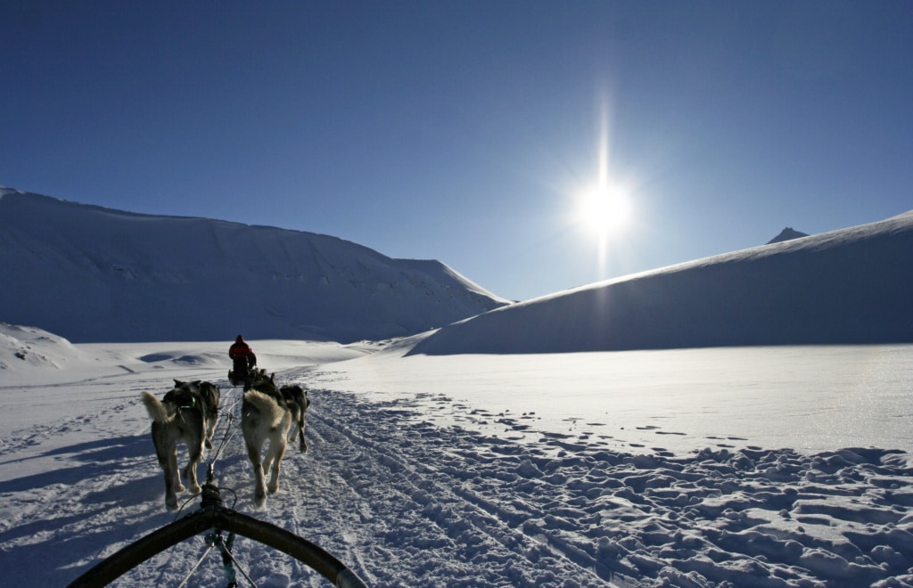 Spektakuläre Landausflüge während einer Kreuzfahrt: Schlittenfahrt auf Spitzbergen
