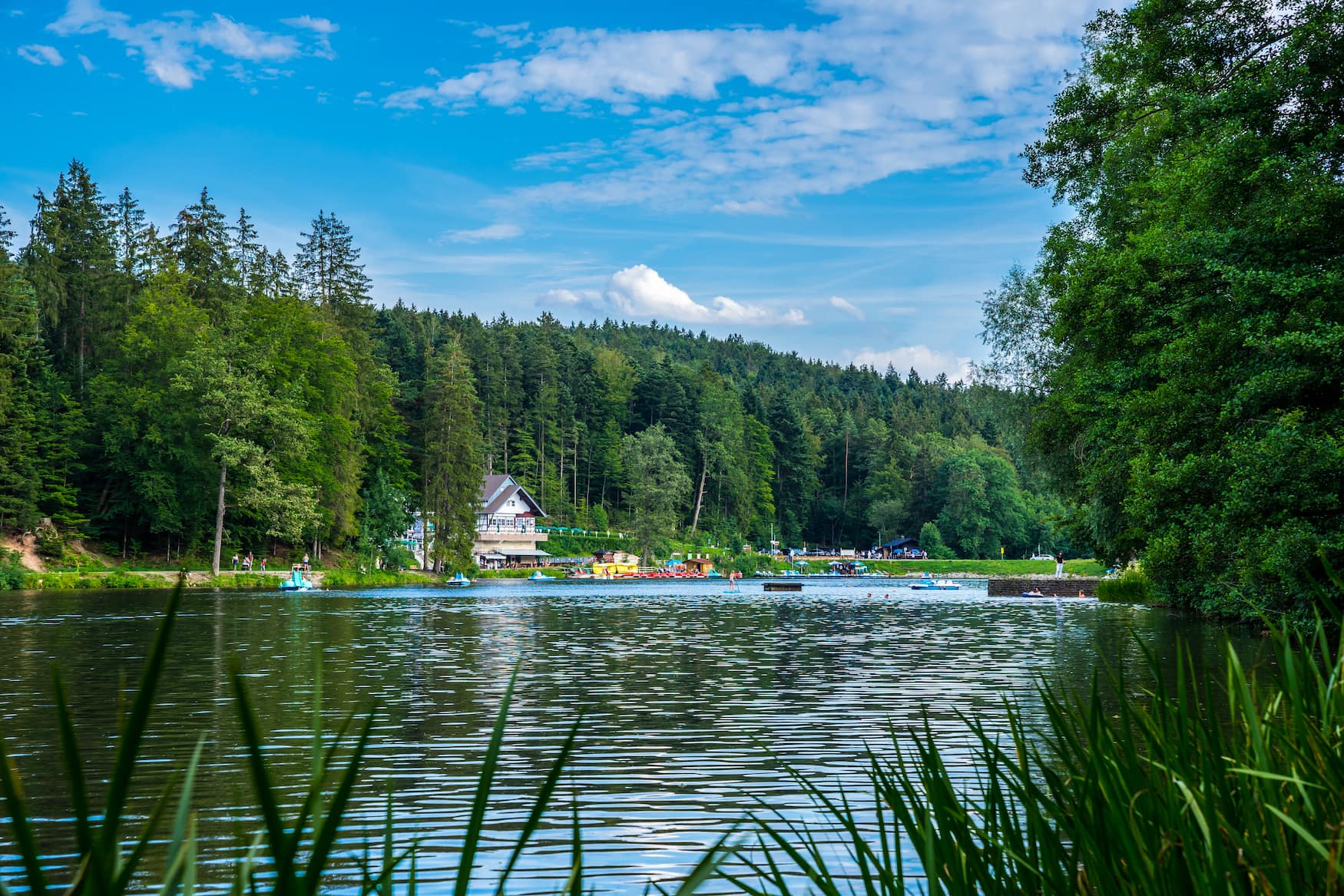 Blick über den Ebnisee in Baden-Württemberg vom Ufer aus; auf der anderen Seite steht ein Wirtshaus, umgeben von dichtem Wald, auf dem Ufer davor eine Außengastronomie.