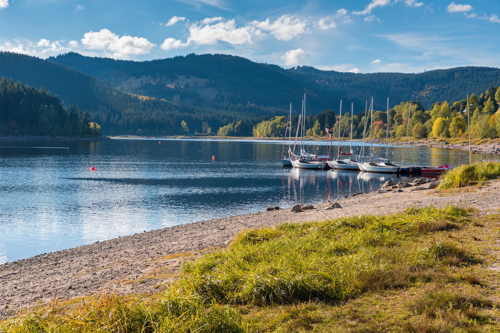 Ufer des Schluchsees im Schwarzwald