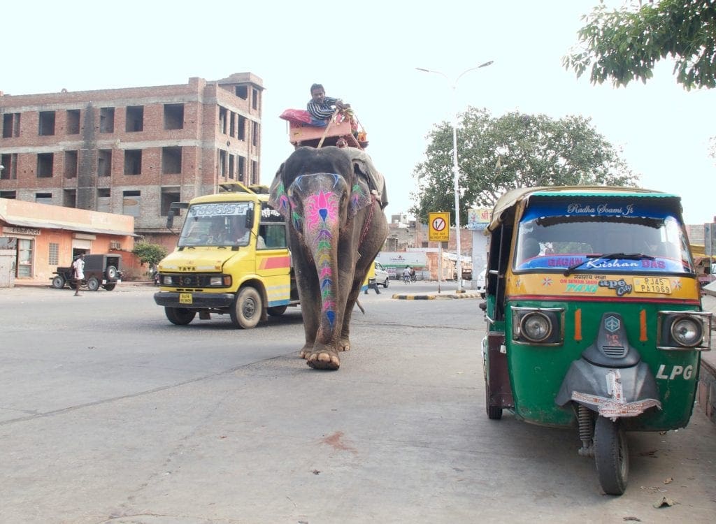 Der Straßenverkehr in Indien fordert allen Mut 