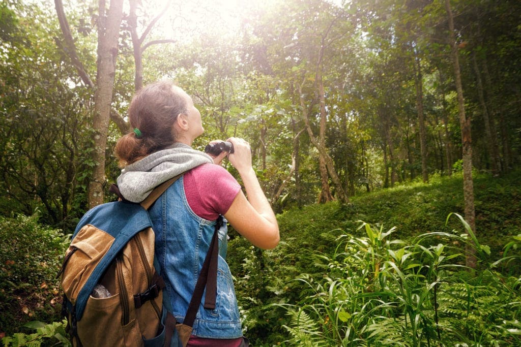 Frau mit Fernglas im Wald bei der Vogelbeobachtung