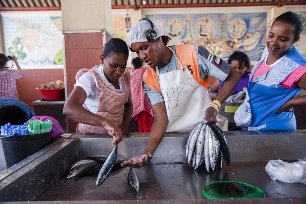 Fischmarkt auf den Kapverdischen Inseln