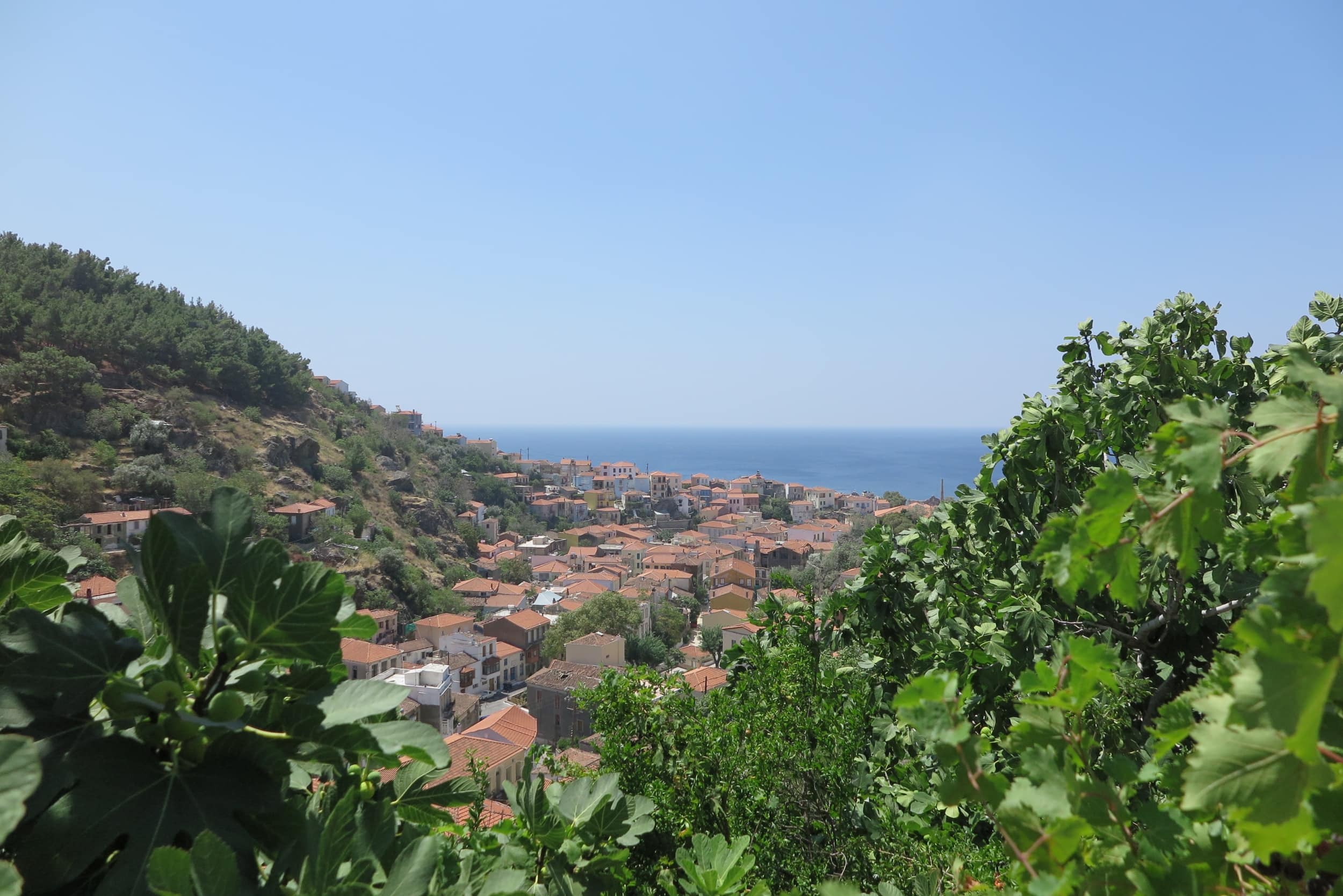 Ausblick auf das Mittelmeer aus Plomari
