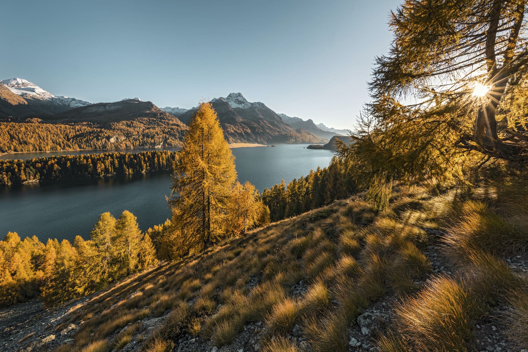 Goldiger Herbst über dem Silsersee mit seinen Lärchenwäldern