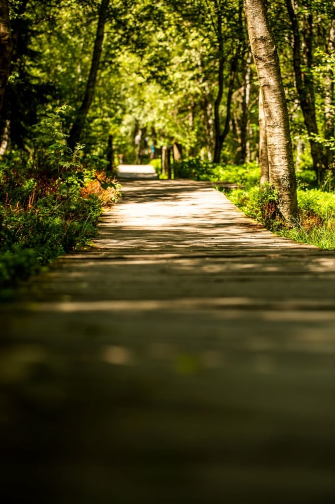 Fußgängerweg im Roten Moor in der Rhön 