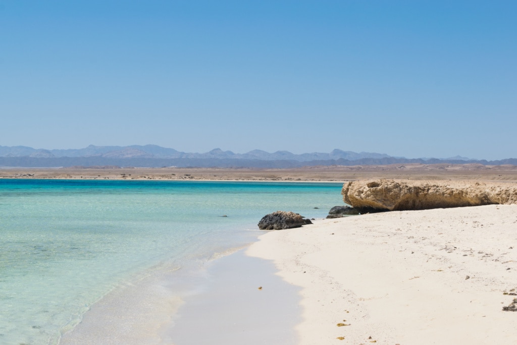 Blick auf die Küste und dahinterliegende Wüste im Wadi el Gemal Nationalpark
