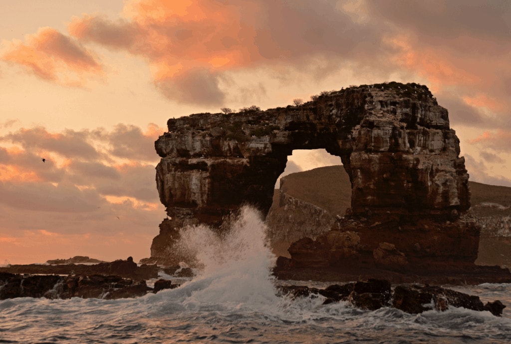 Darwin's Arch