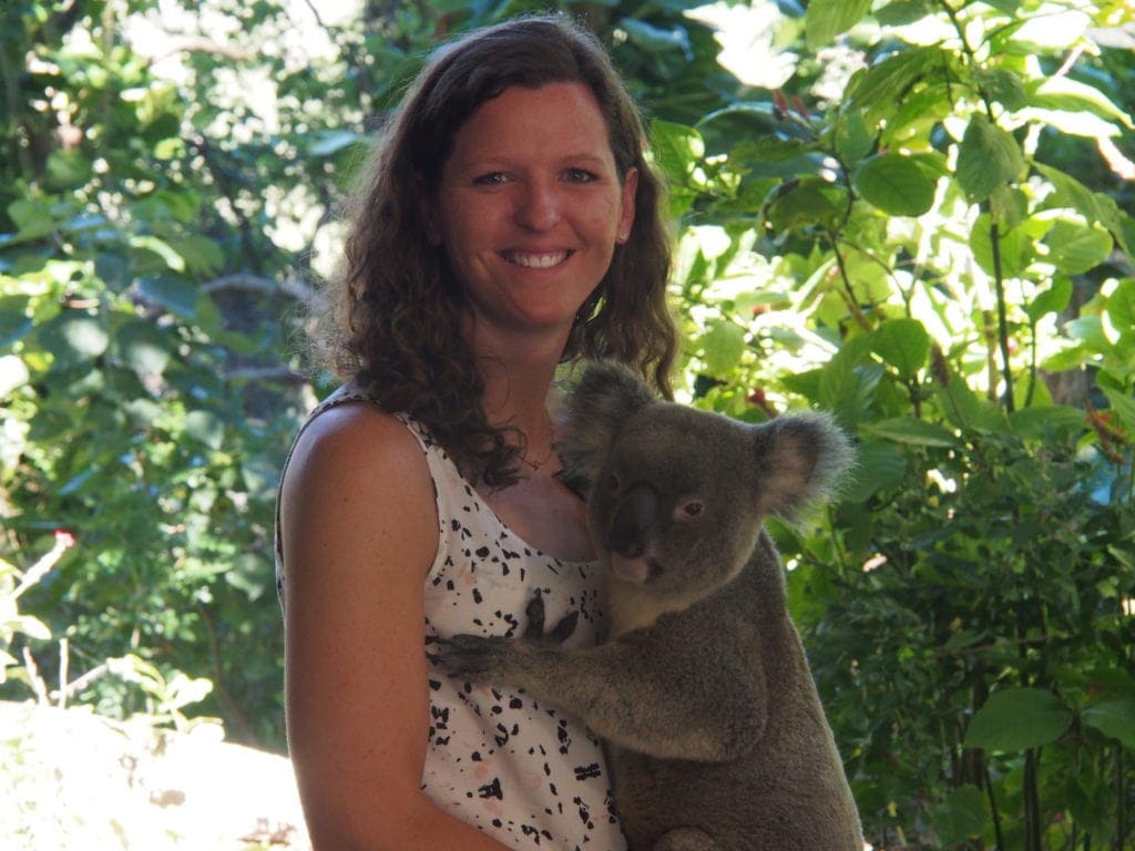 Die Currumbin Wildlife Sanctuary ist ein Zoo zum Anfasen inklusive Koala auf den Arm nehmen, Gold Coast, Australien