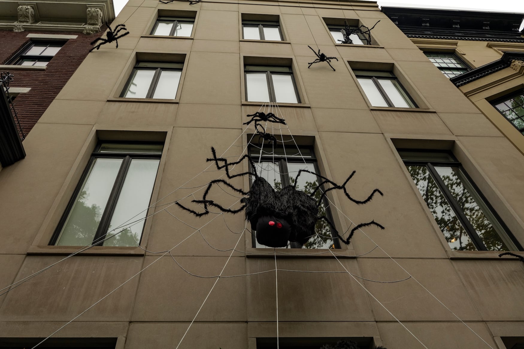 Spinne an Häuserfront