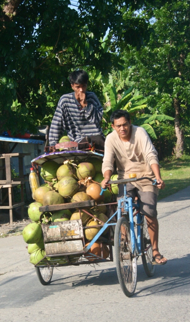 Das Tricycle wird auf den Philippinen für den Transport verwendet, gerne auch mal für Kokosnüsse.