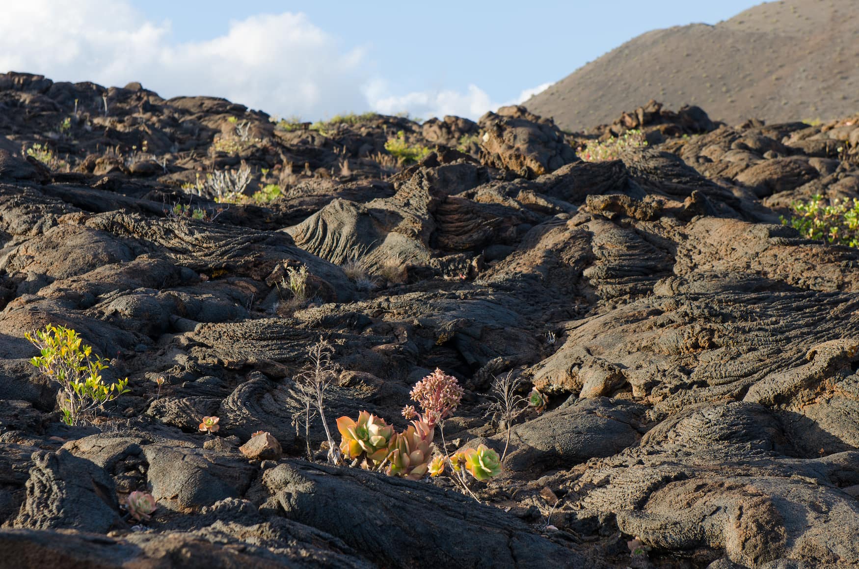El Hierro, Lavafelder, Vulkan, Insel