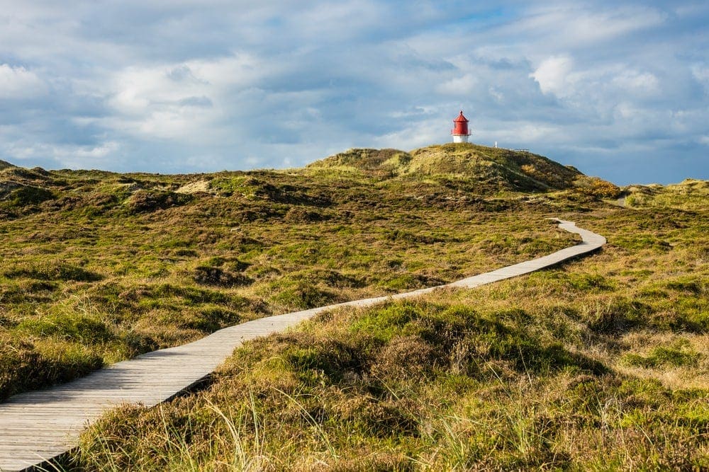 Dünenlandschaft von Amrum