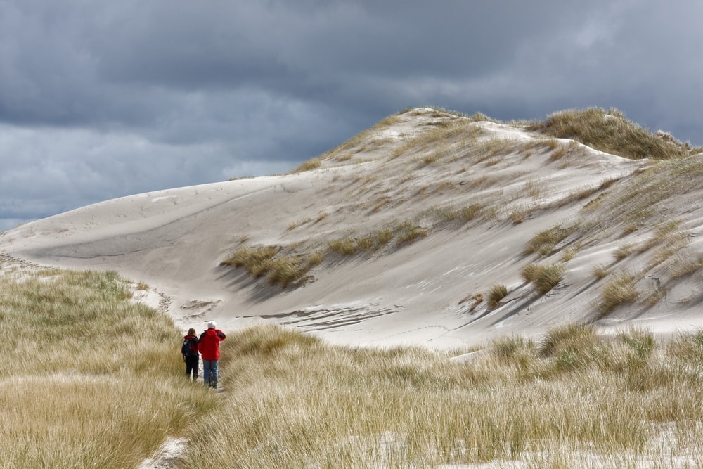 Amrum