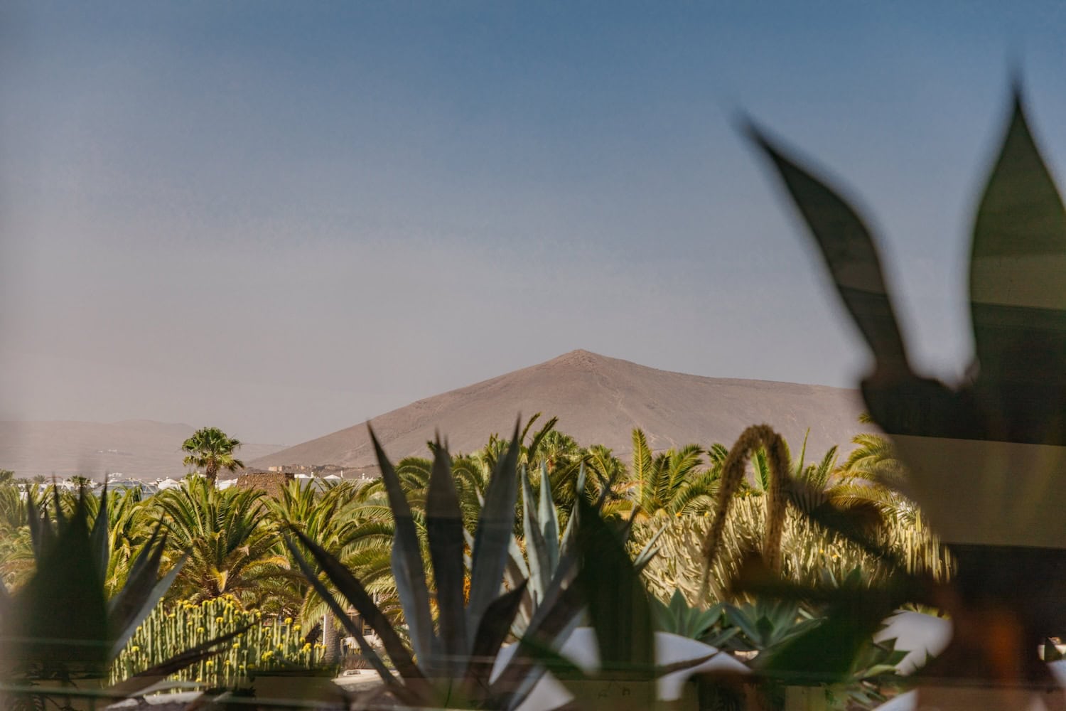 Paradisus Salinas Lanzarote Landschaft