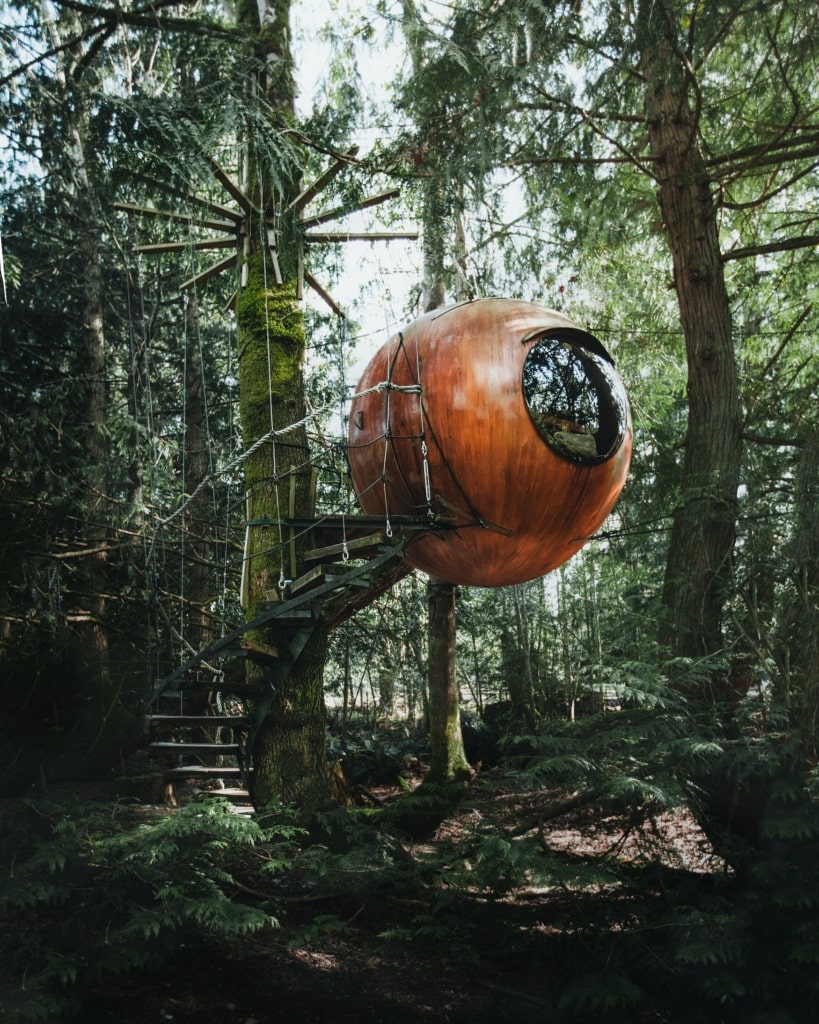 Baumhaus im Wald