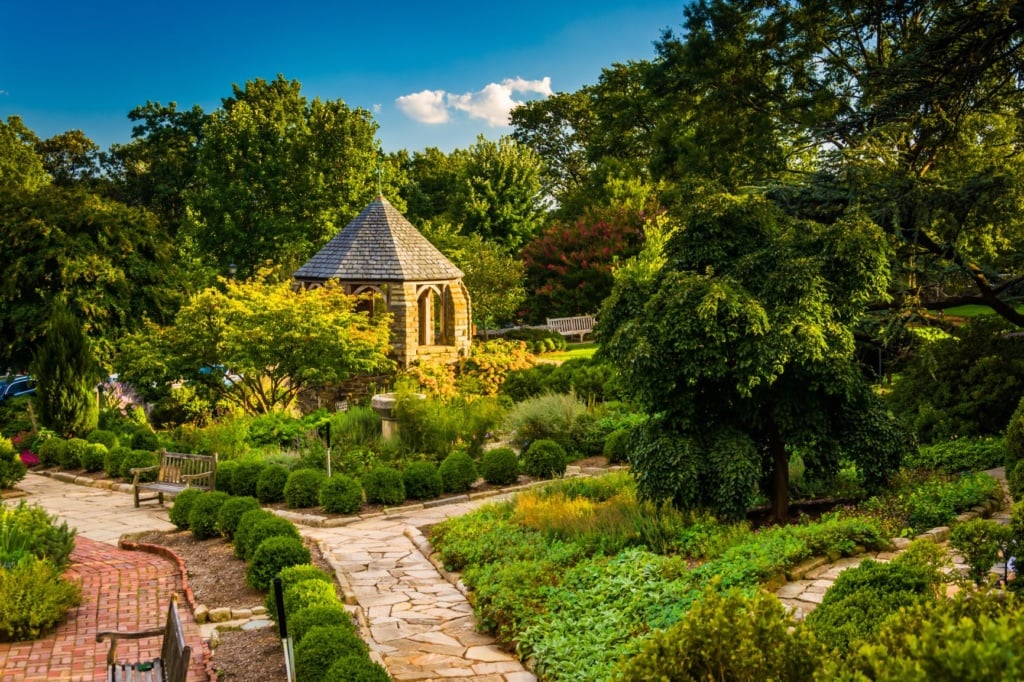 Bishop's Garden Washington DC
