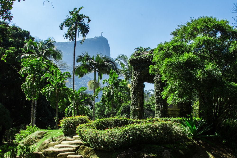 Jardim Botanico in Rio de Janeiro