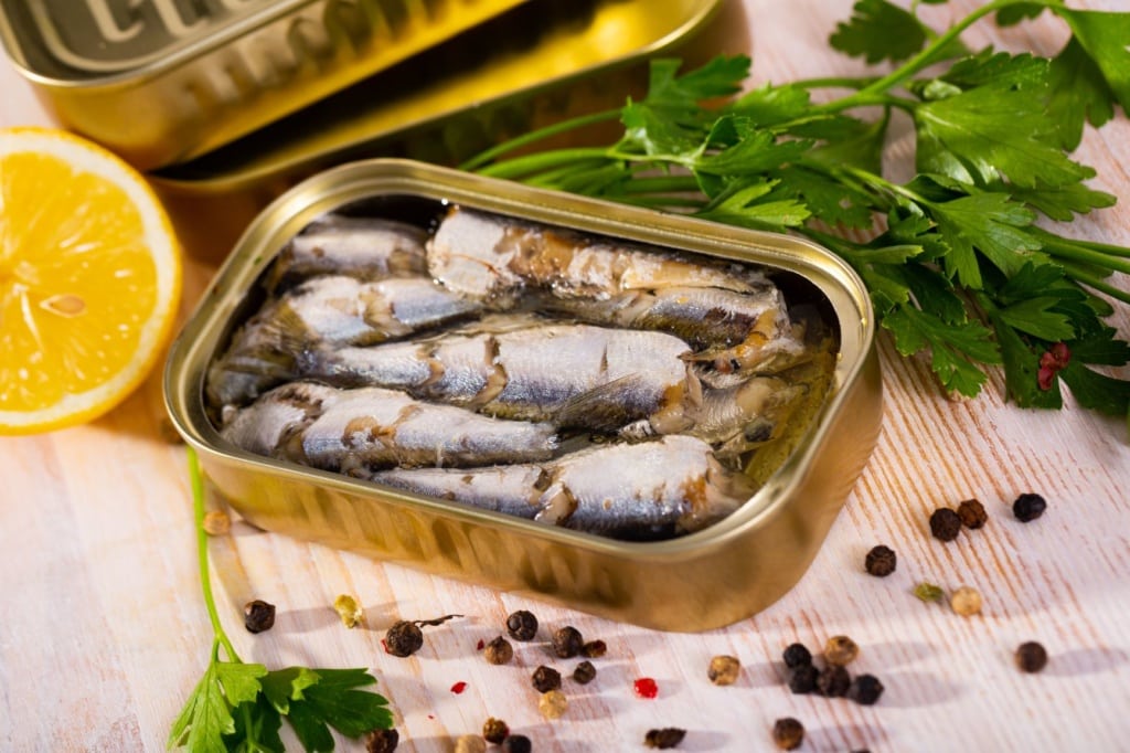 Sardinen in einer Dose eingelegt