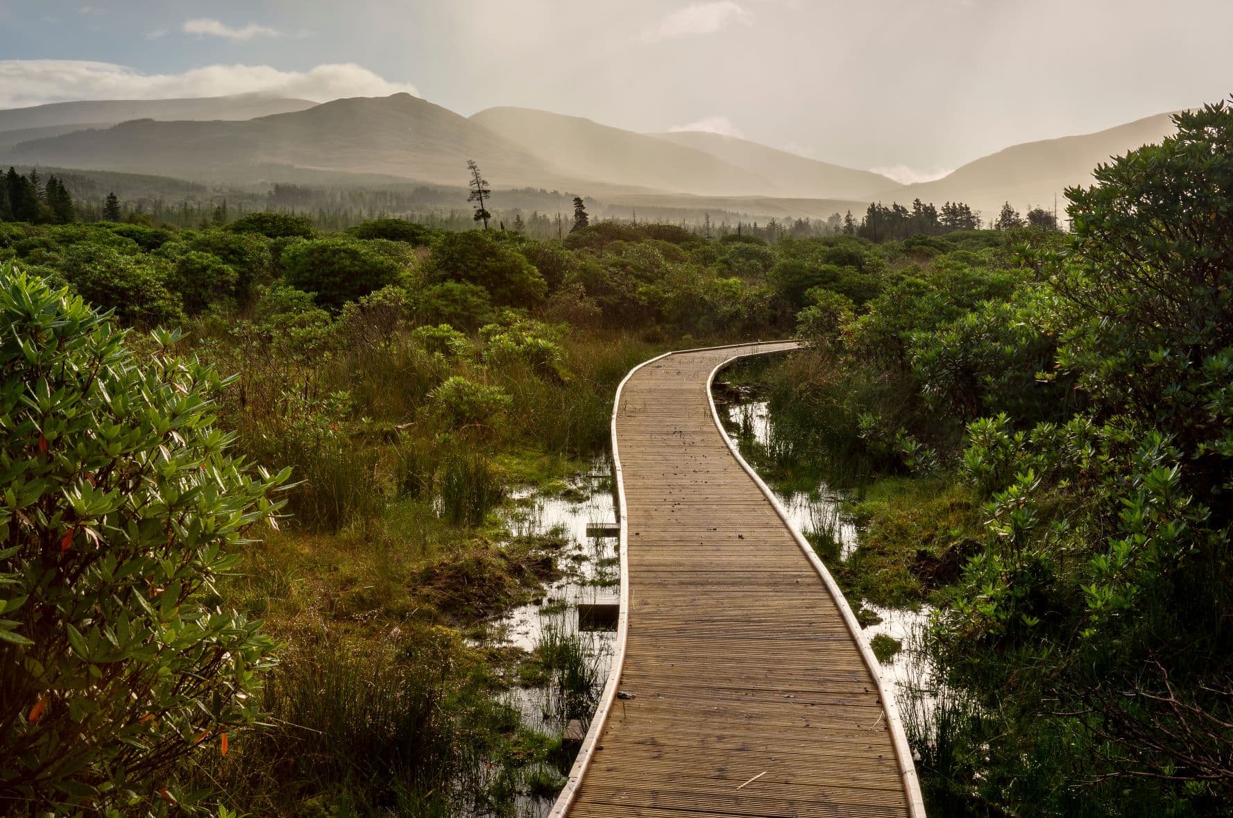 Holzsteg im Wild Nephin Ballycroy National Park