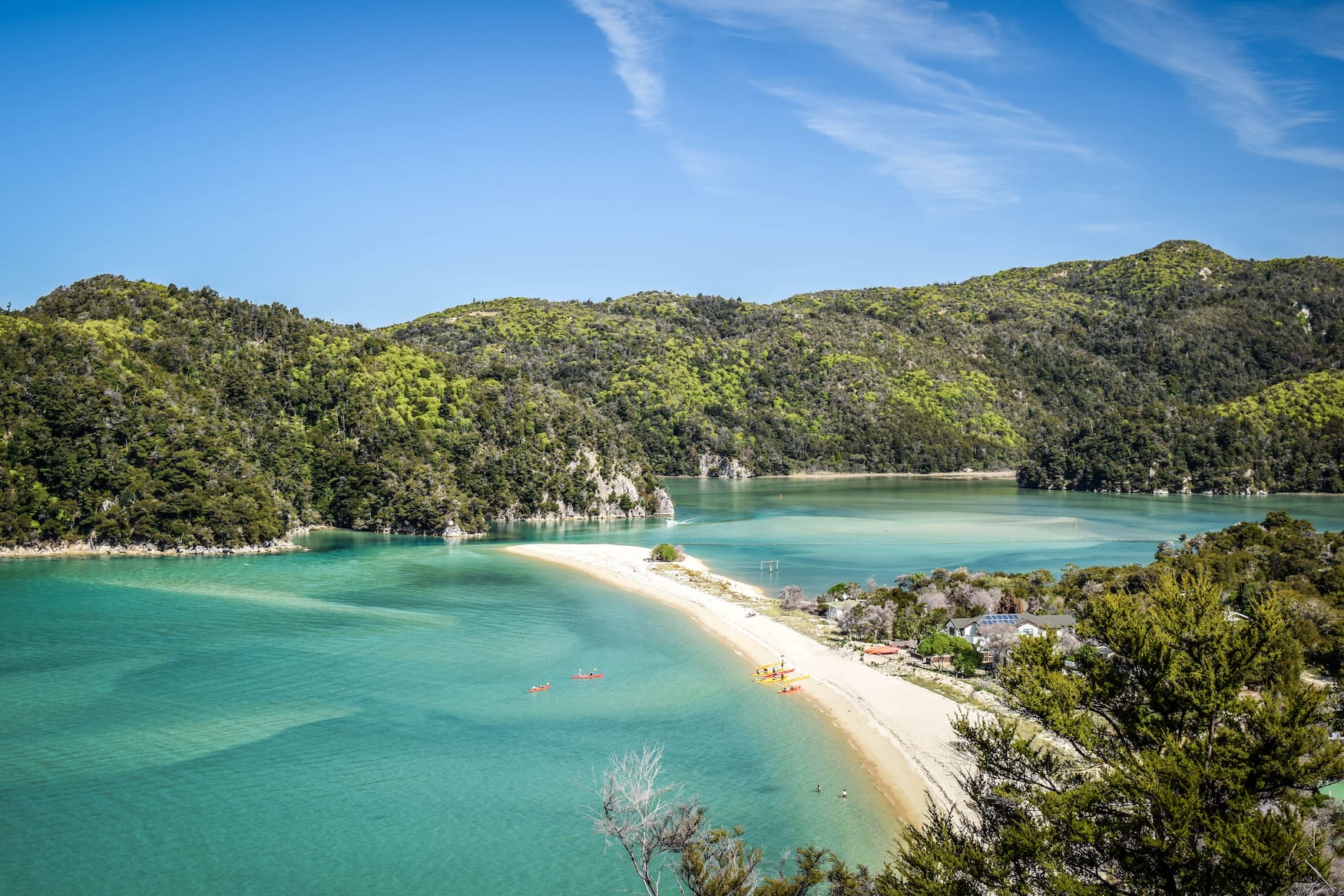 Küste in Neuseeland im Abel Tasman Nationalpark
