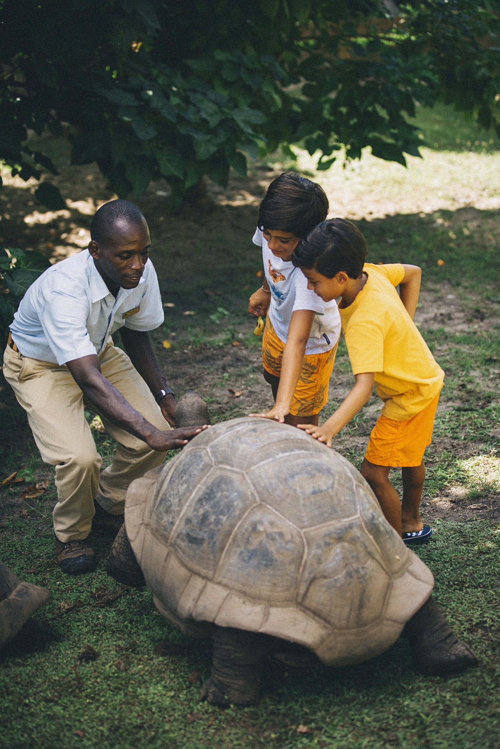 Raffles Seychelles Schildkröten