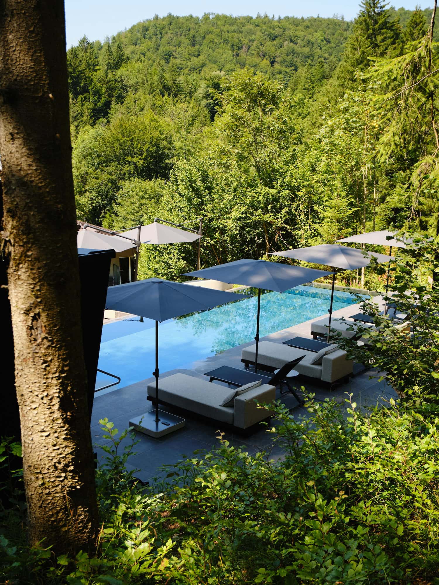 Pool im Naturhotel Fischerwirt