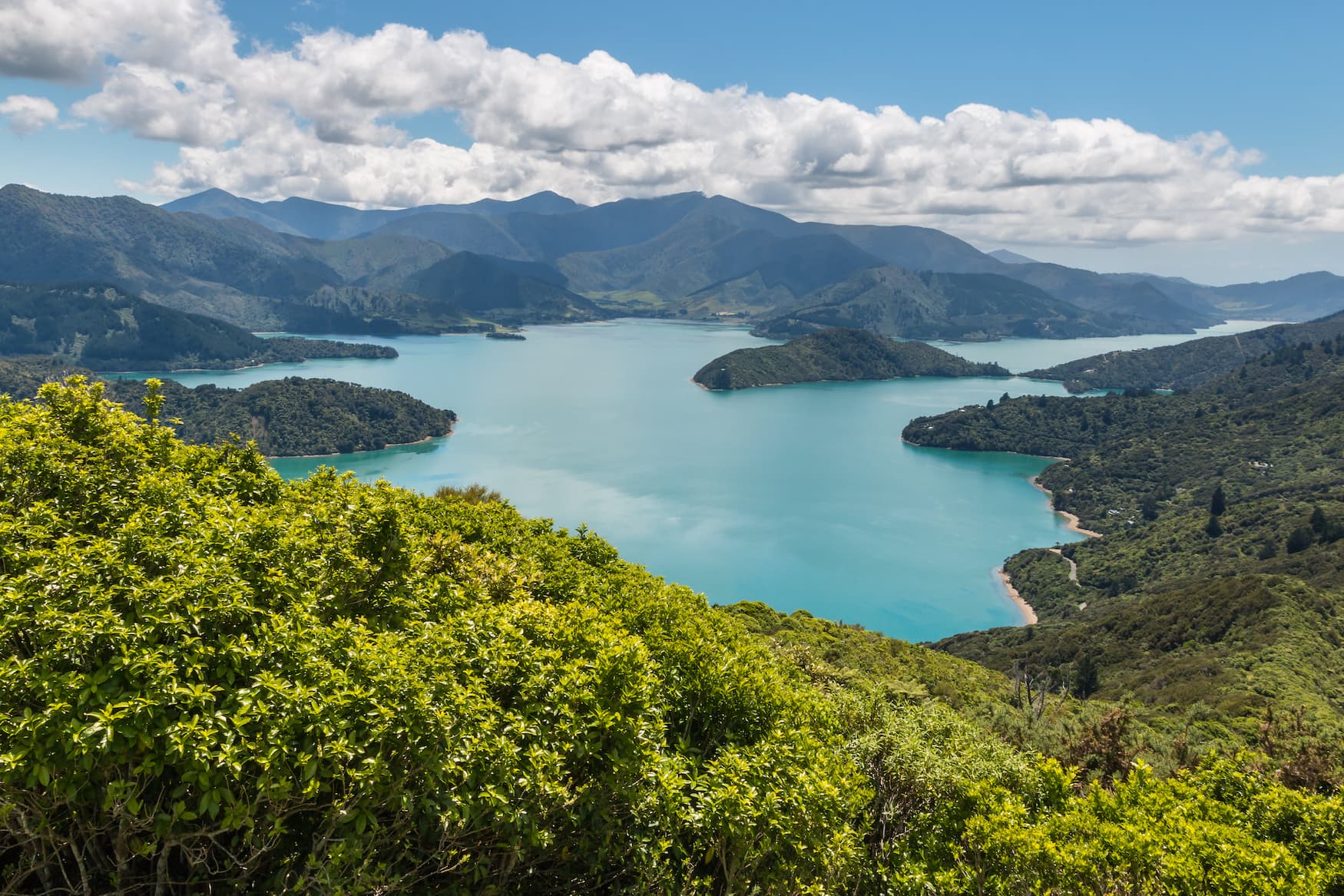 Aussicht auf Neuseeland's Küste und den Queen Charlotte Sound