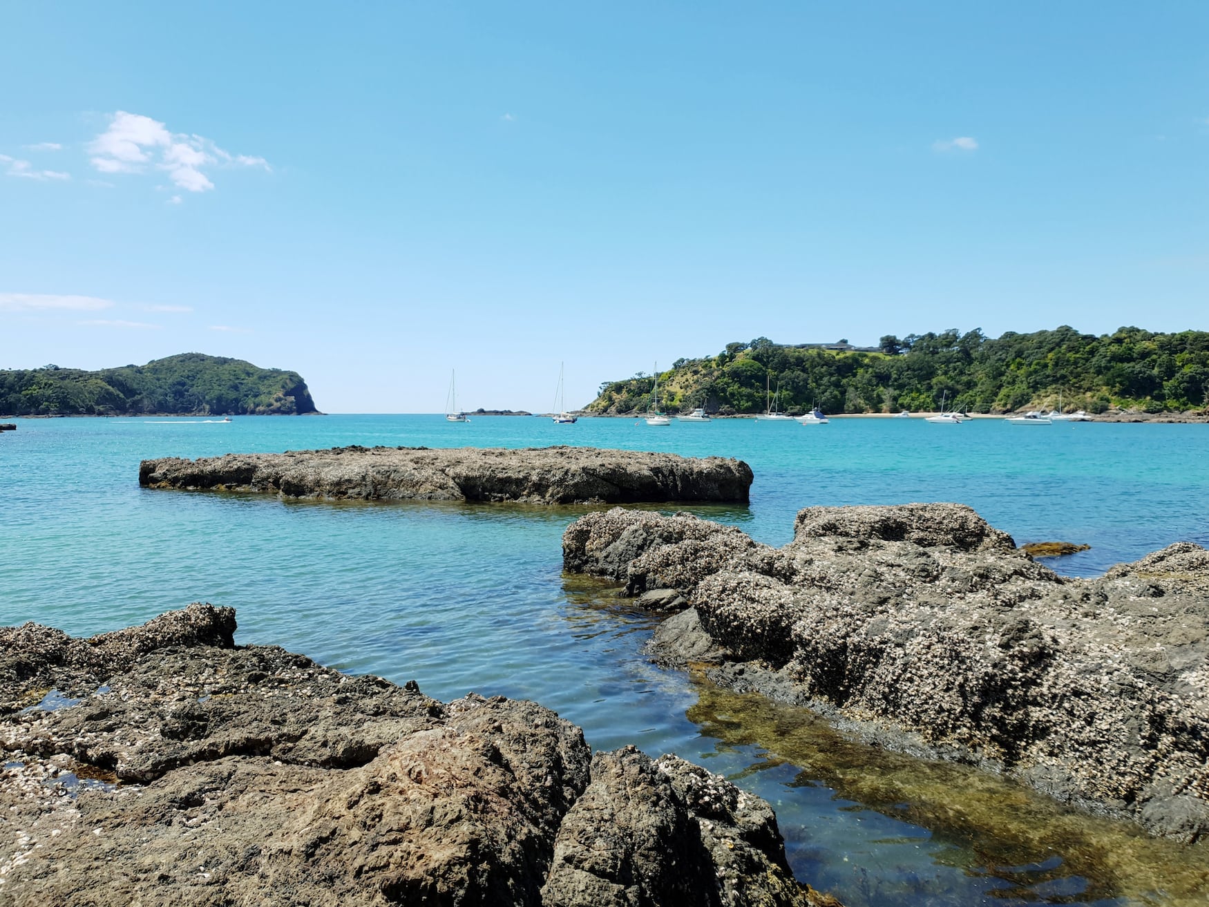 Tutukaka-Küste in Neuseeland