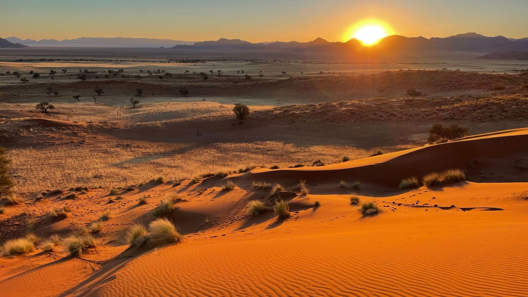 Blick auf Wüste vom Dune Star Camp in Namibia