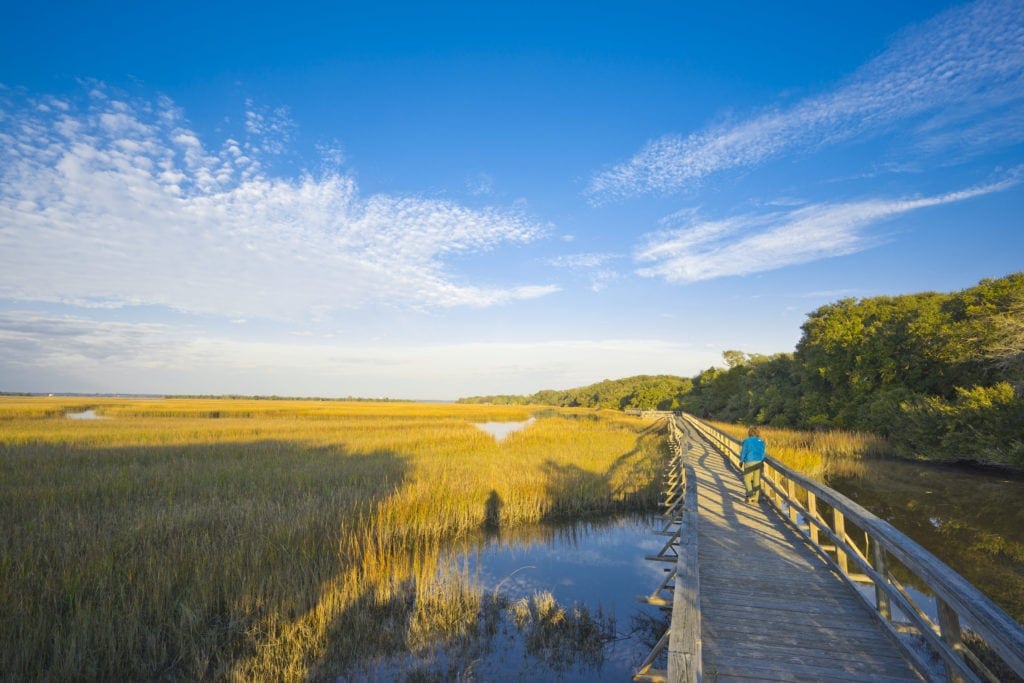 Tipps für eine Reise nach Georgia: Cumberland Island