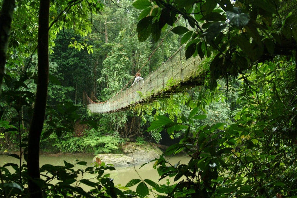 Danum Valley an der Ostküste Malaysias