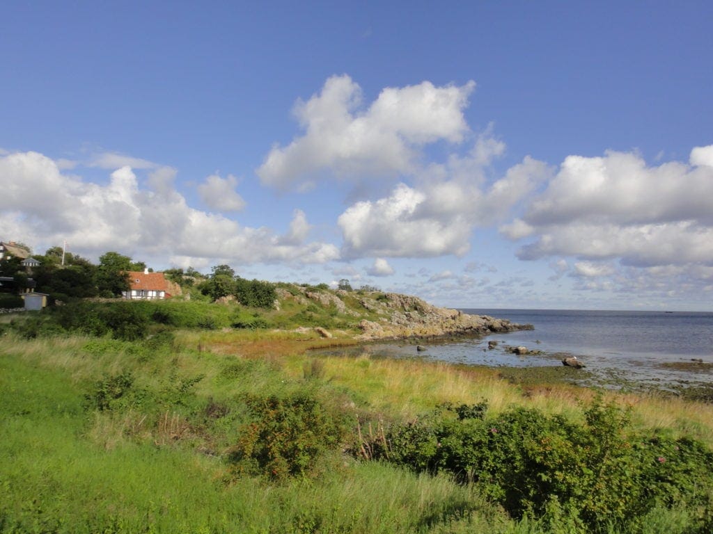 Landschaft auf Bornholm mit Häusern im Hintergrund