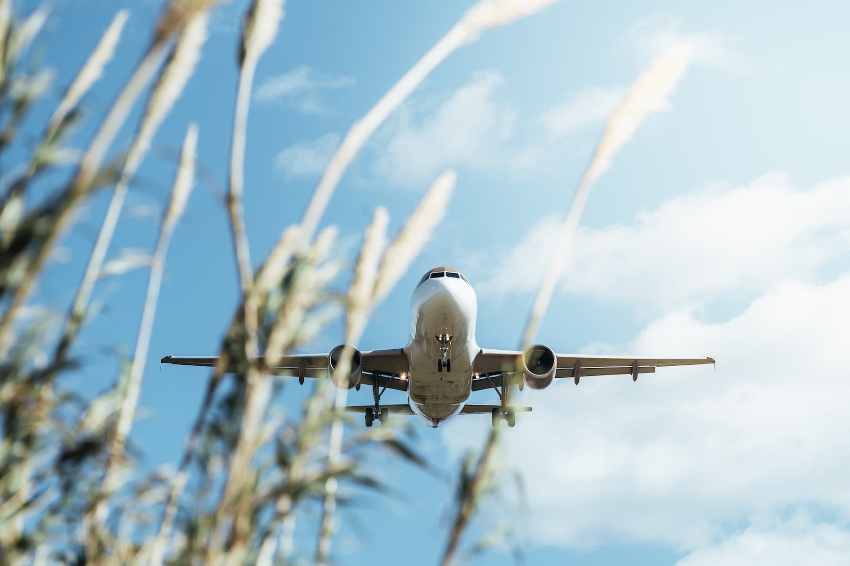 Ökotourismus: Doch wie fliegt man nachhaltig?