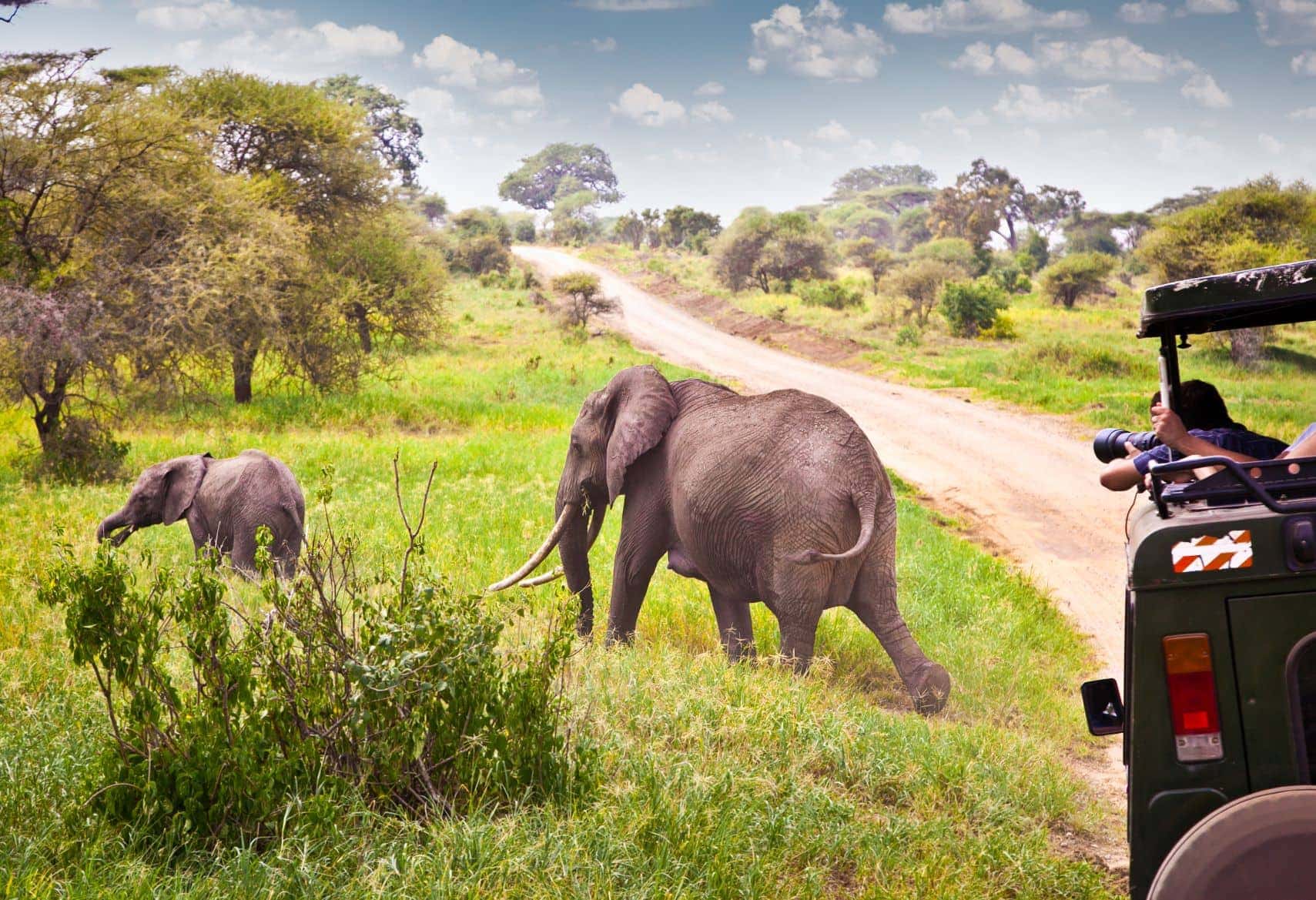 Elefantenfamilie in Kenia