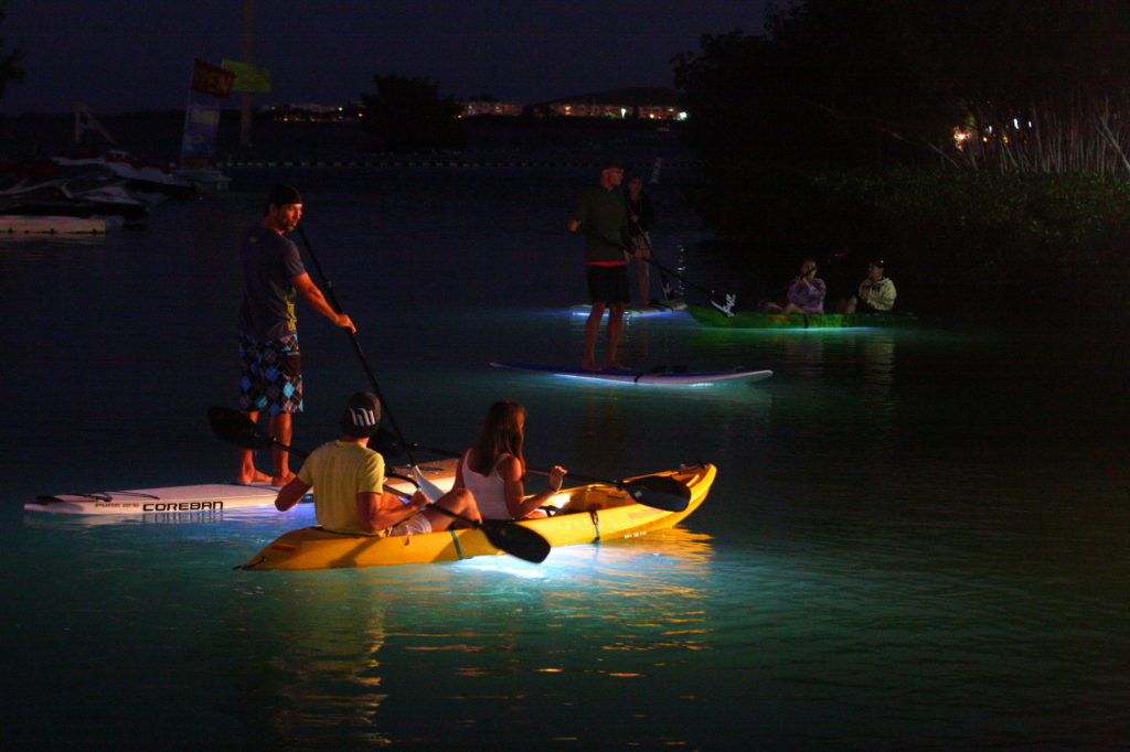 Florida Keys nachts: Stand-Up Paddleboards und Kajaks erhellen das Wasser 