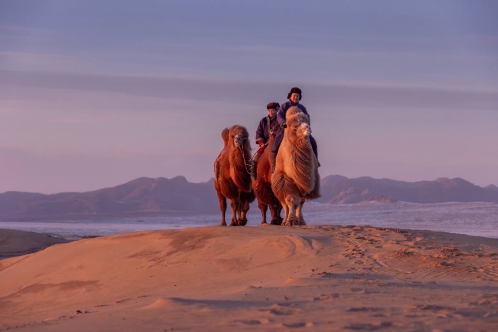 Die Gobi-Wüste in der Mongolei.