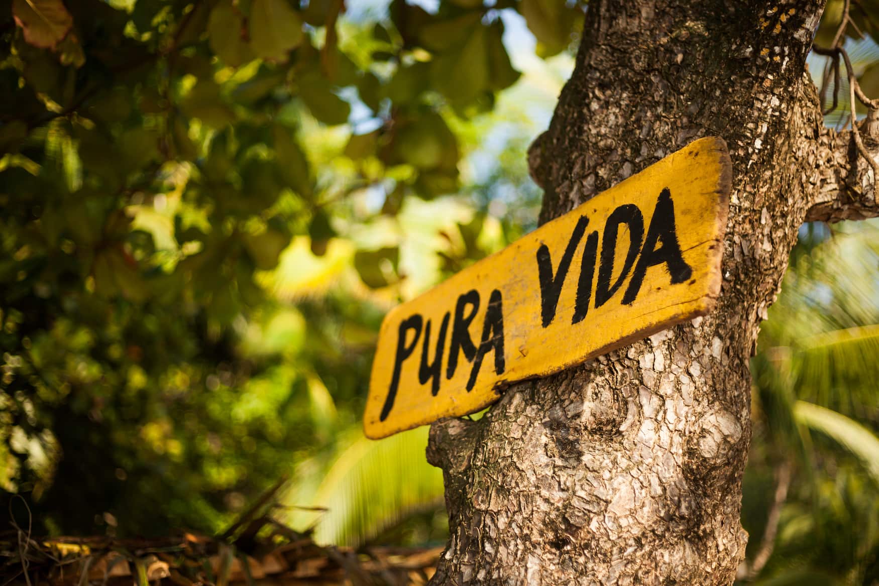 Andere Länder, andere Sitten: In Costa Rica ist alles Pura Vida