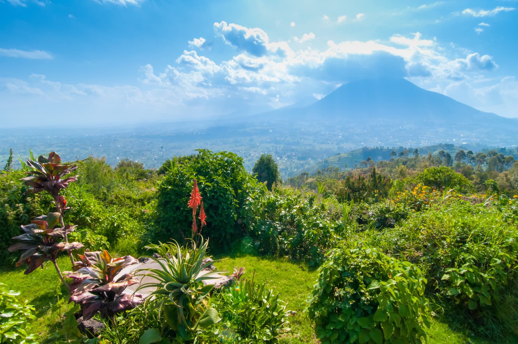 Nationalpark in Ruanda