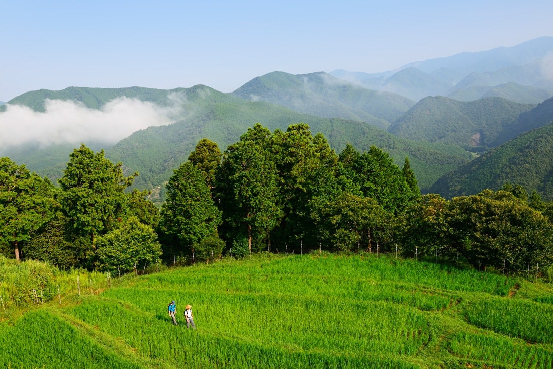 Nakahechi Route auf der Insel Honshu in Japan