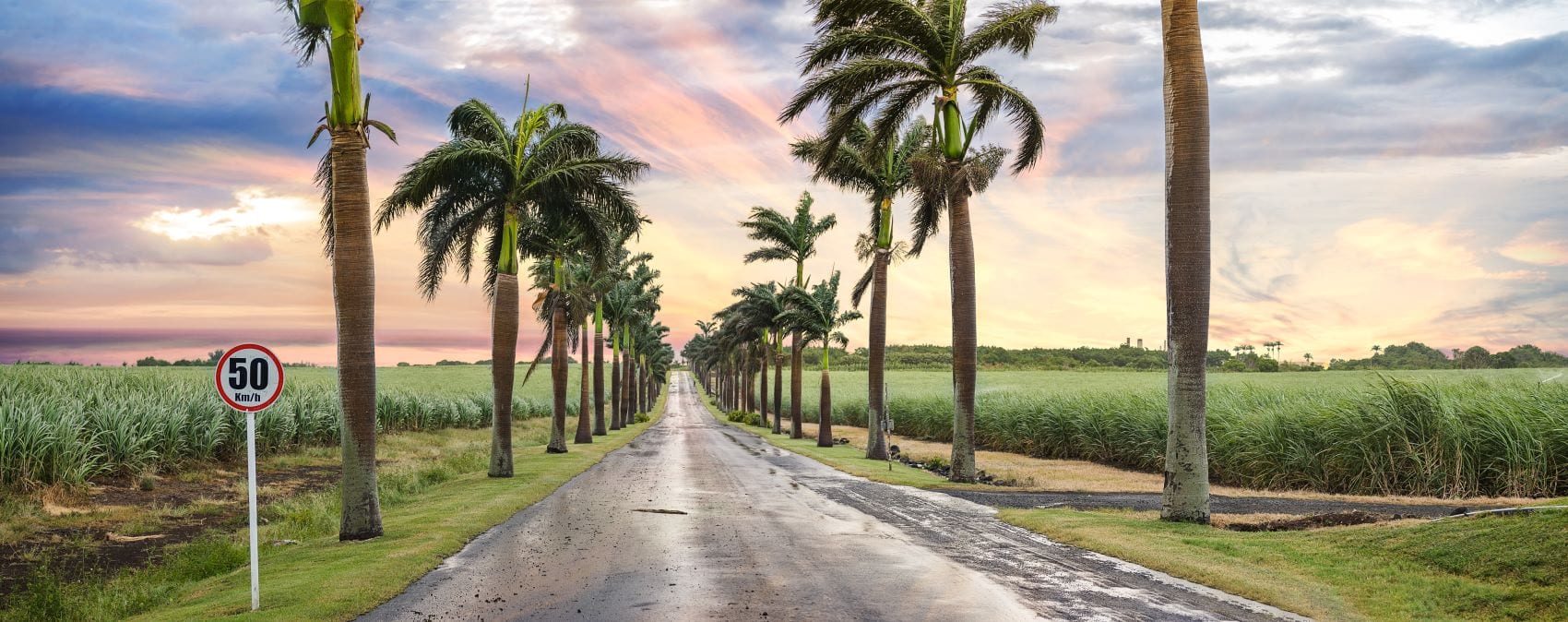 Leere Landstraße auf Mauritius 