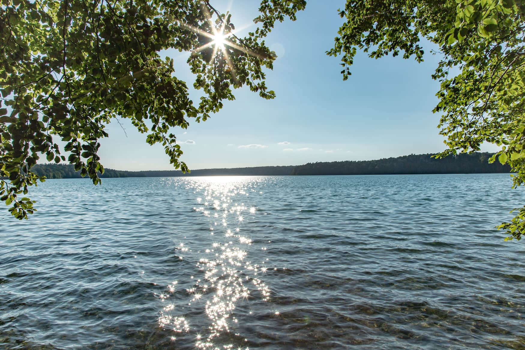 Stechlinsee in Brandenburg an einem sonnigen Frühlingstag. Ein toller Wochenendausflug in Deutschland