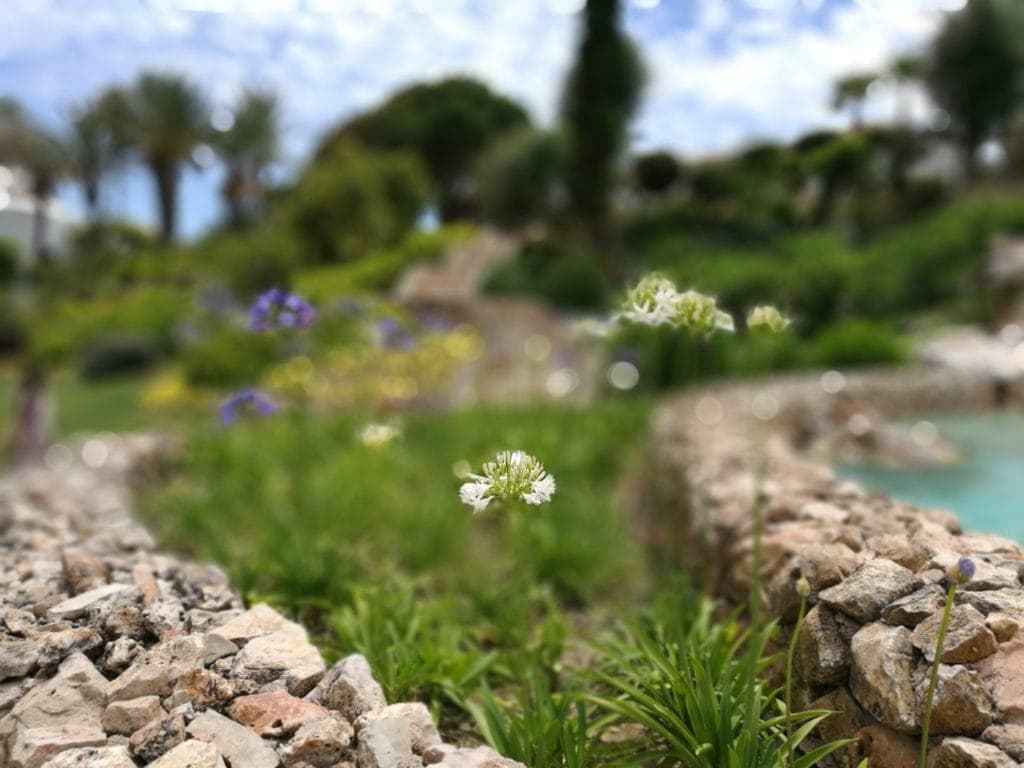 Grün, grüner, Algarve: Urlauben im Vila Vita Parc