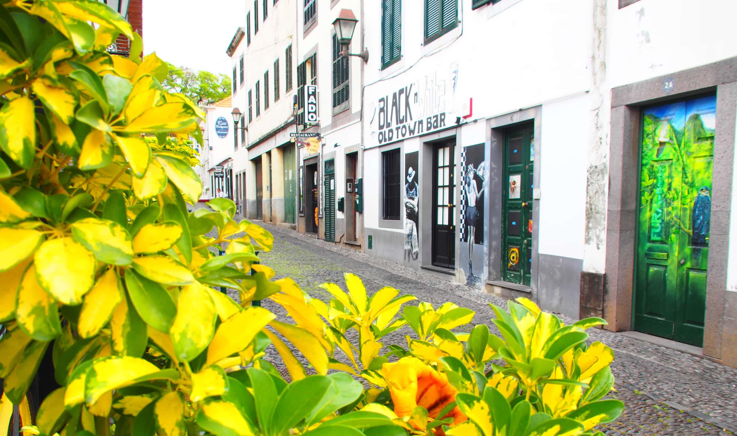 Innenstadt von Funchal