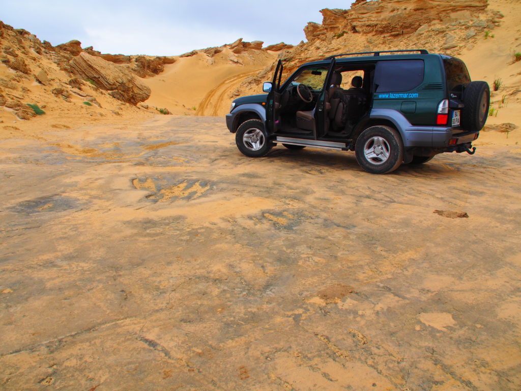 Jeeptour über Porto Santo