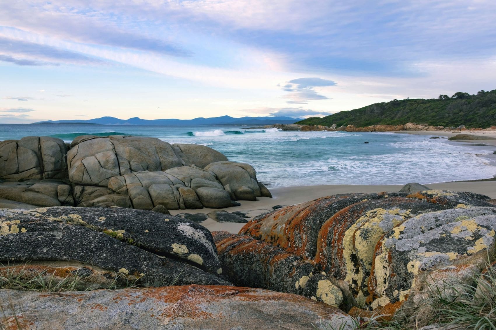 Beerbarrel Beach in Tasmanien