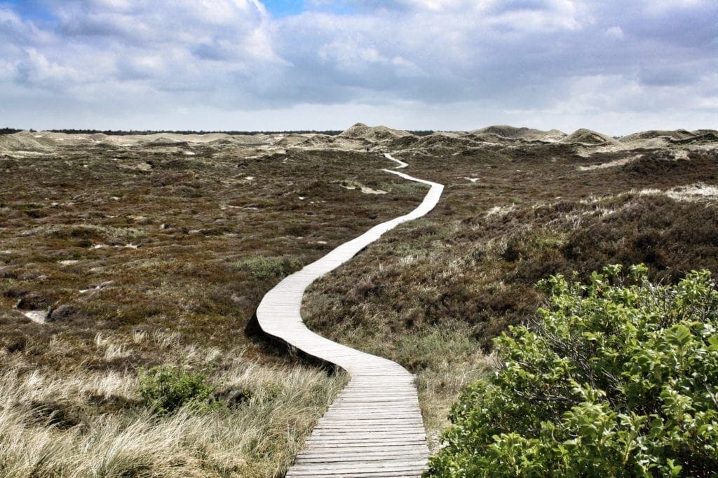 Bohlenweg auf Amrum